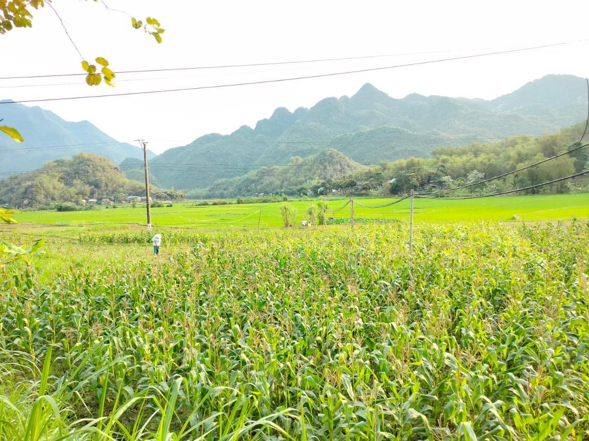 Truong Huy Homestay Mai Châu Extérieur photo