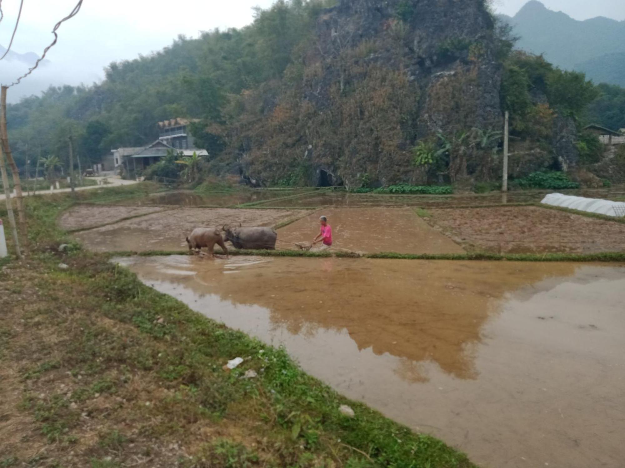 Truong Huy Homestay Mai Châu Extérieur photo